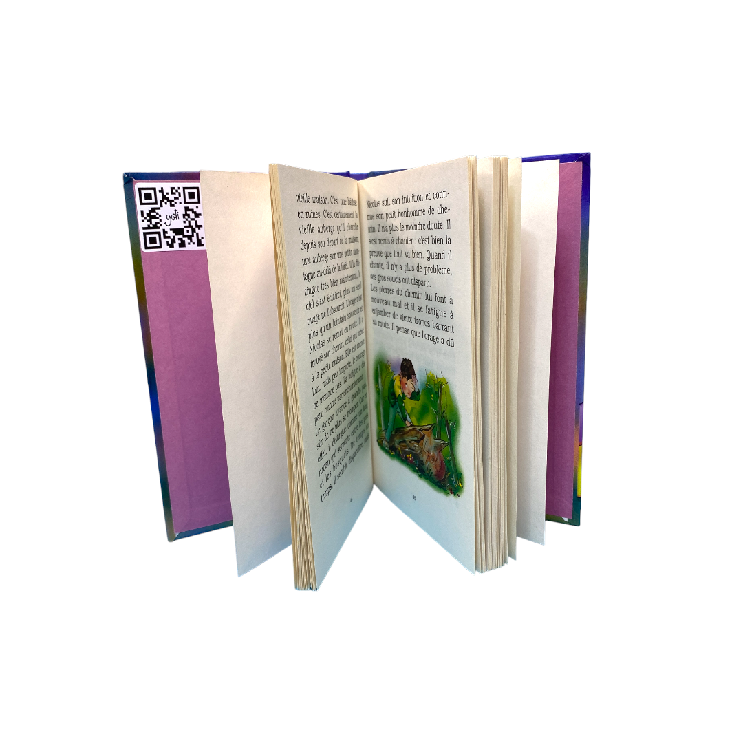 La princesse des étoiles