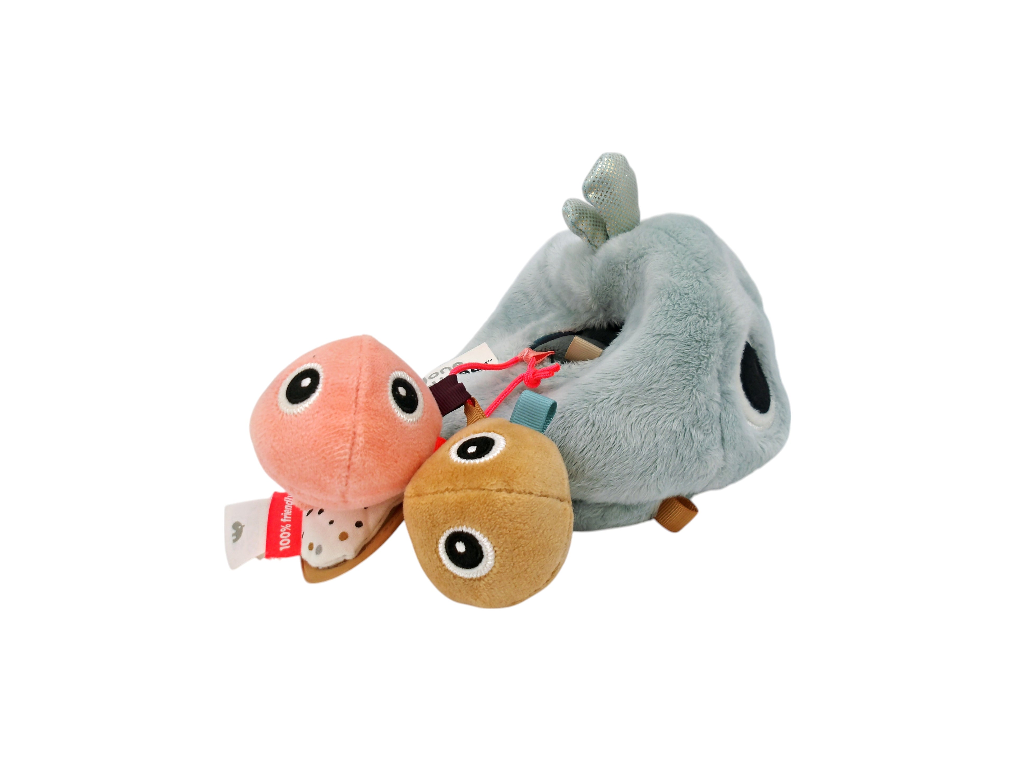 Baleine - Hide&Seek