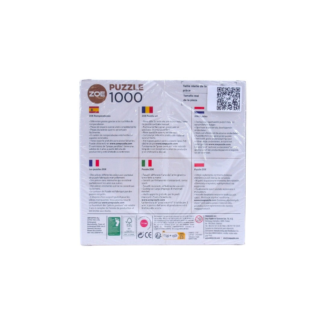 Les puzzles de Zoé - Kandisky - 1000 pièces