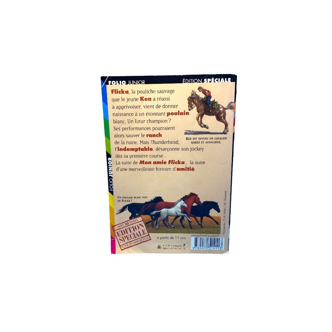 Le fils de Flicka