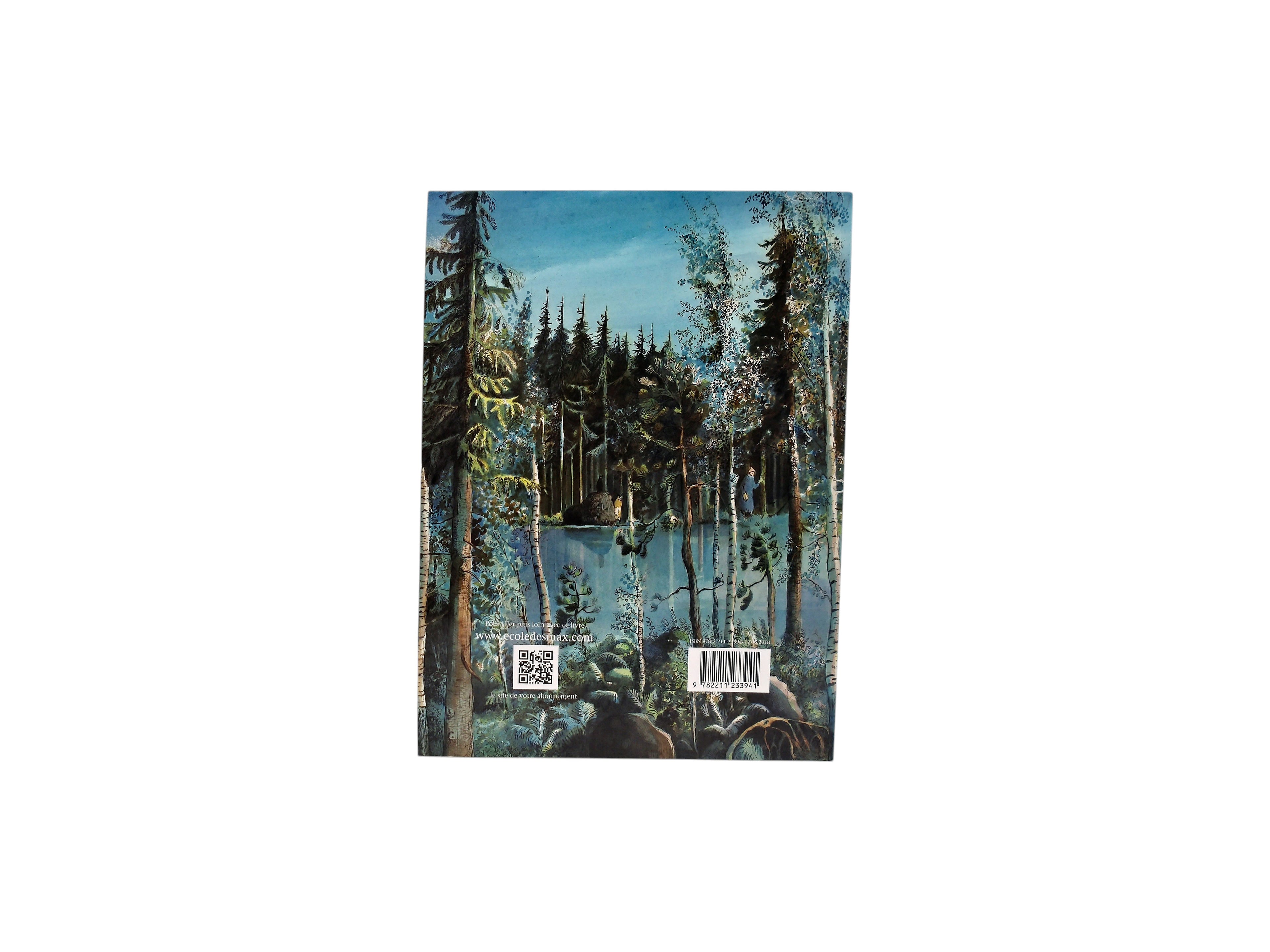 La Grande forêt - Le pays des Chintiens