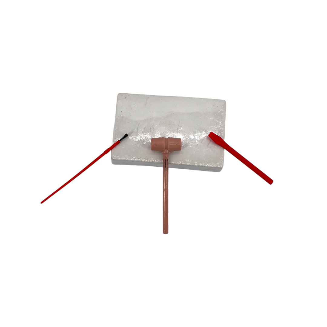 Explora - Le kit du paléontologue