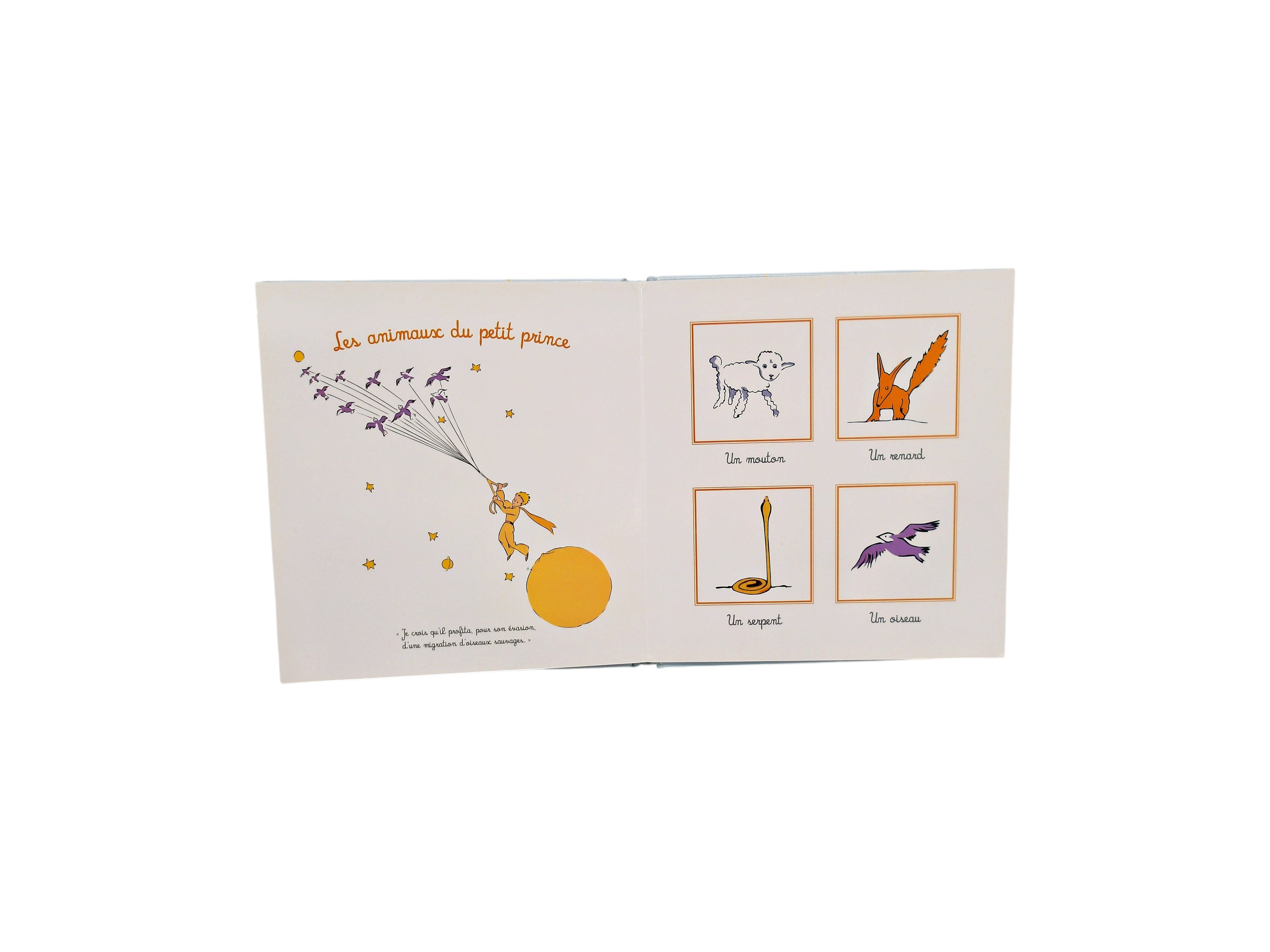 Le Petit Prince pour les bébés - L&