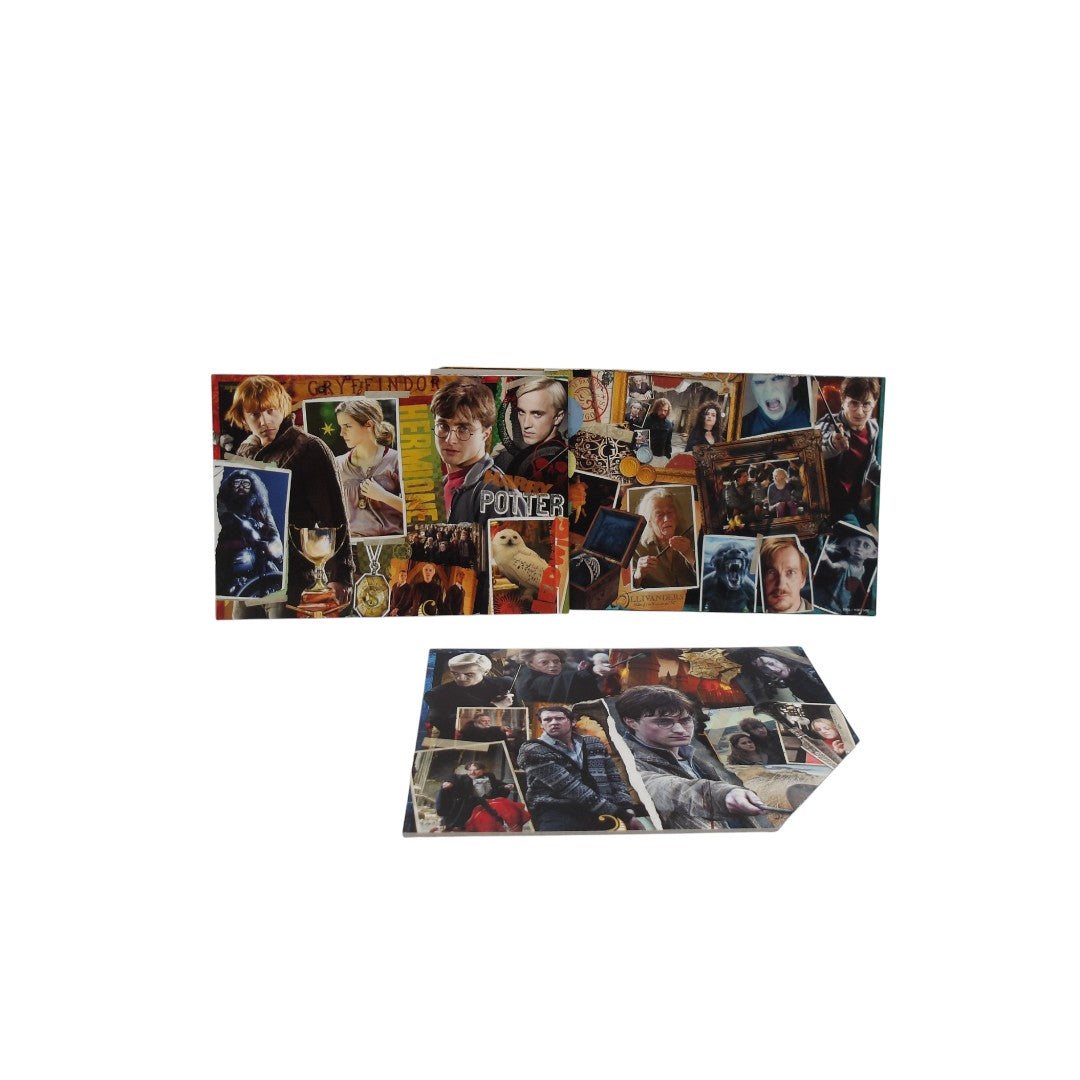 Puzzle - Harry Potter - 3x100 pièces