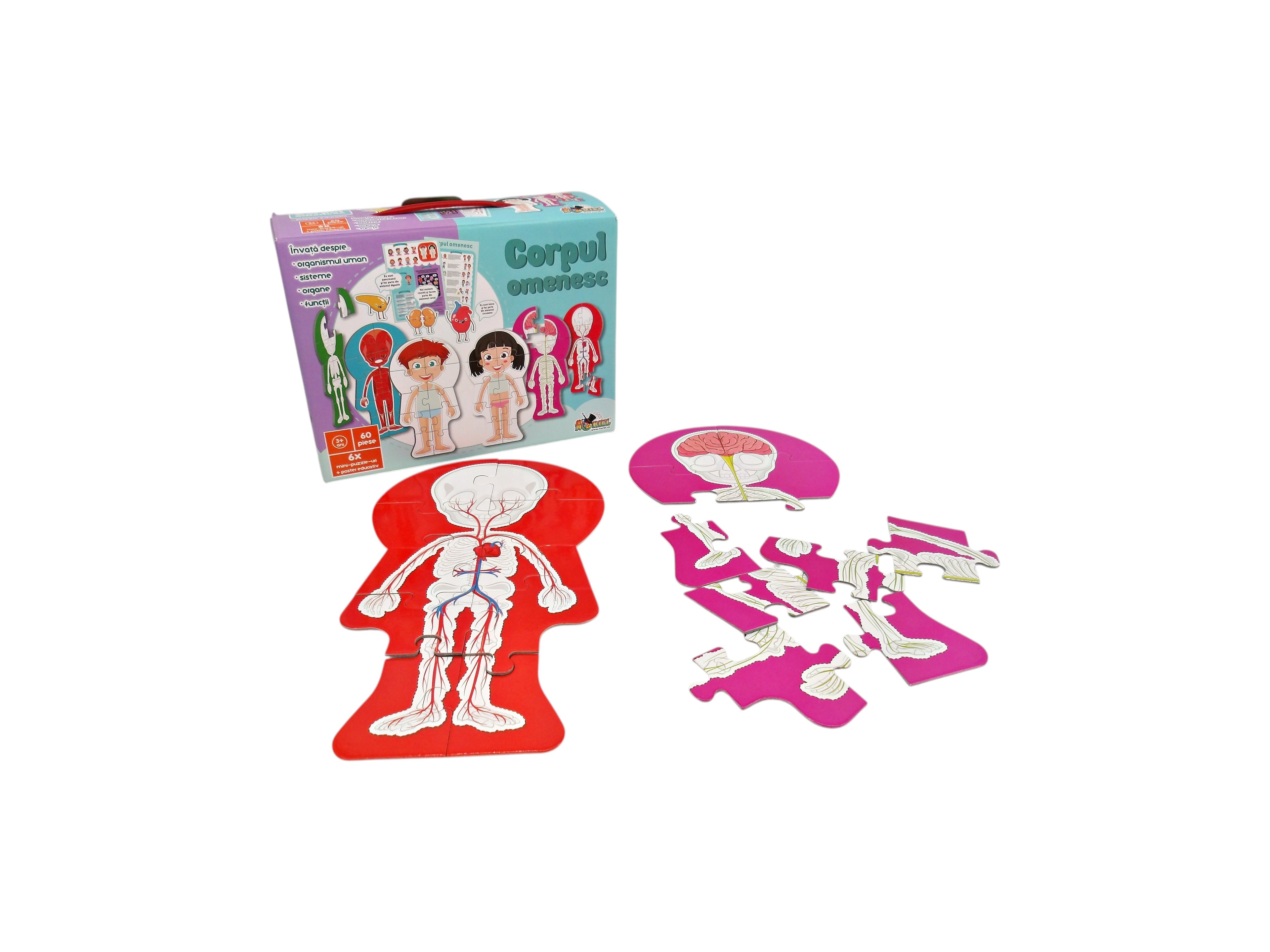 Puzzle - Corps humain