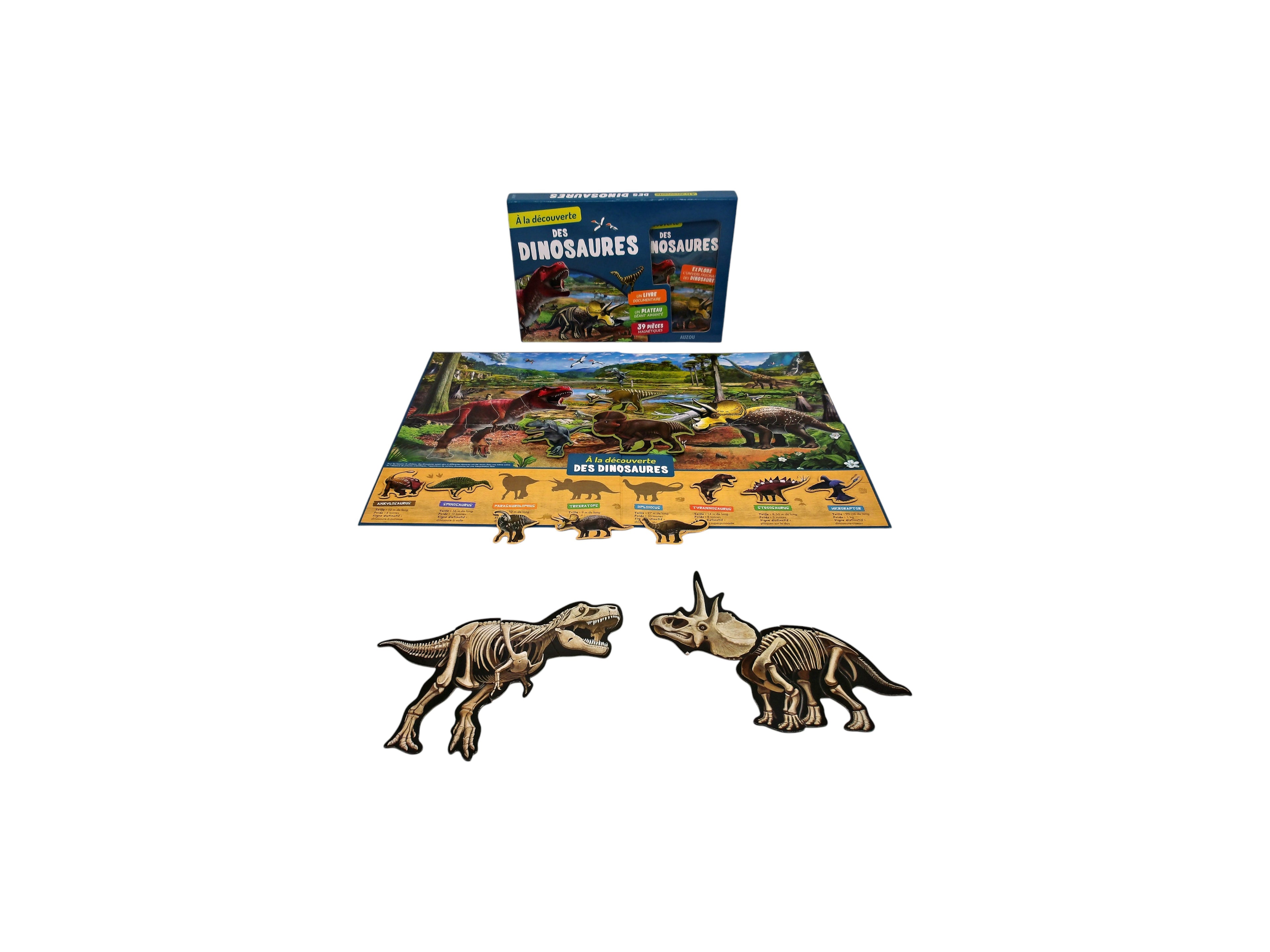 A la découverte des dinosaures- Édition 2017