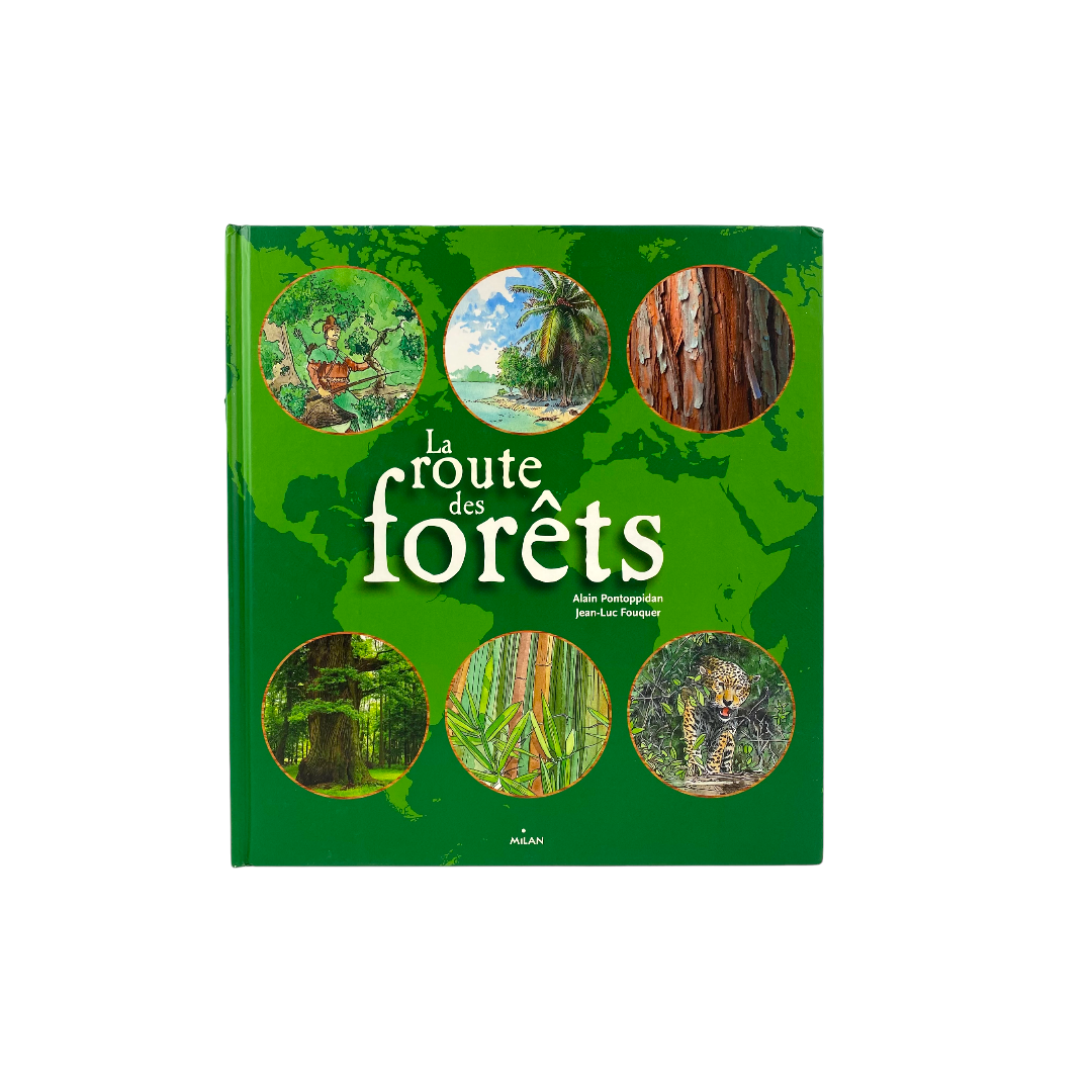 La route des forêts