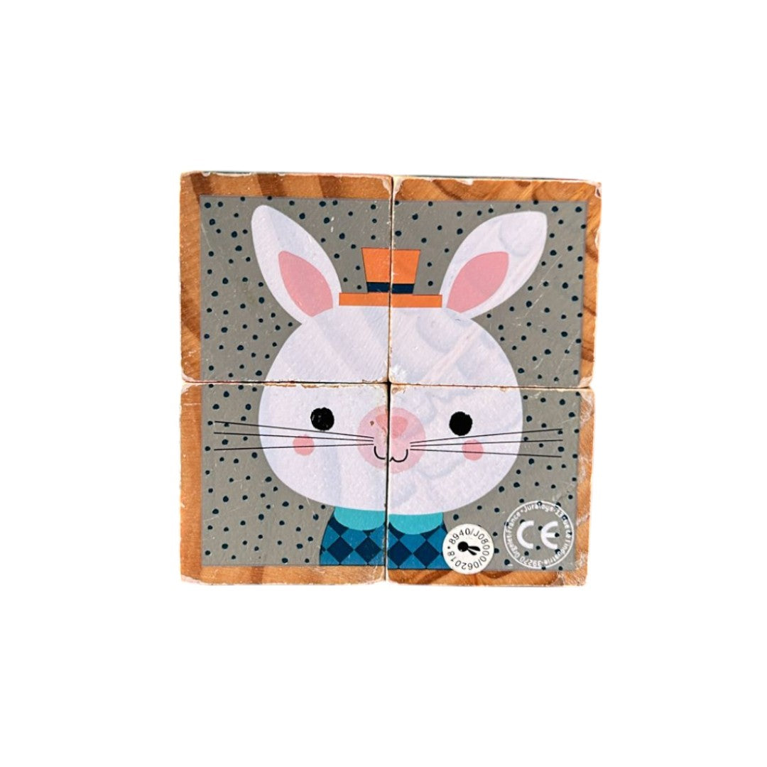 Mes premiers cubes - Portraits de la forêt