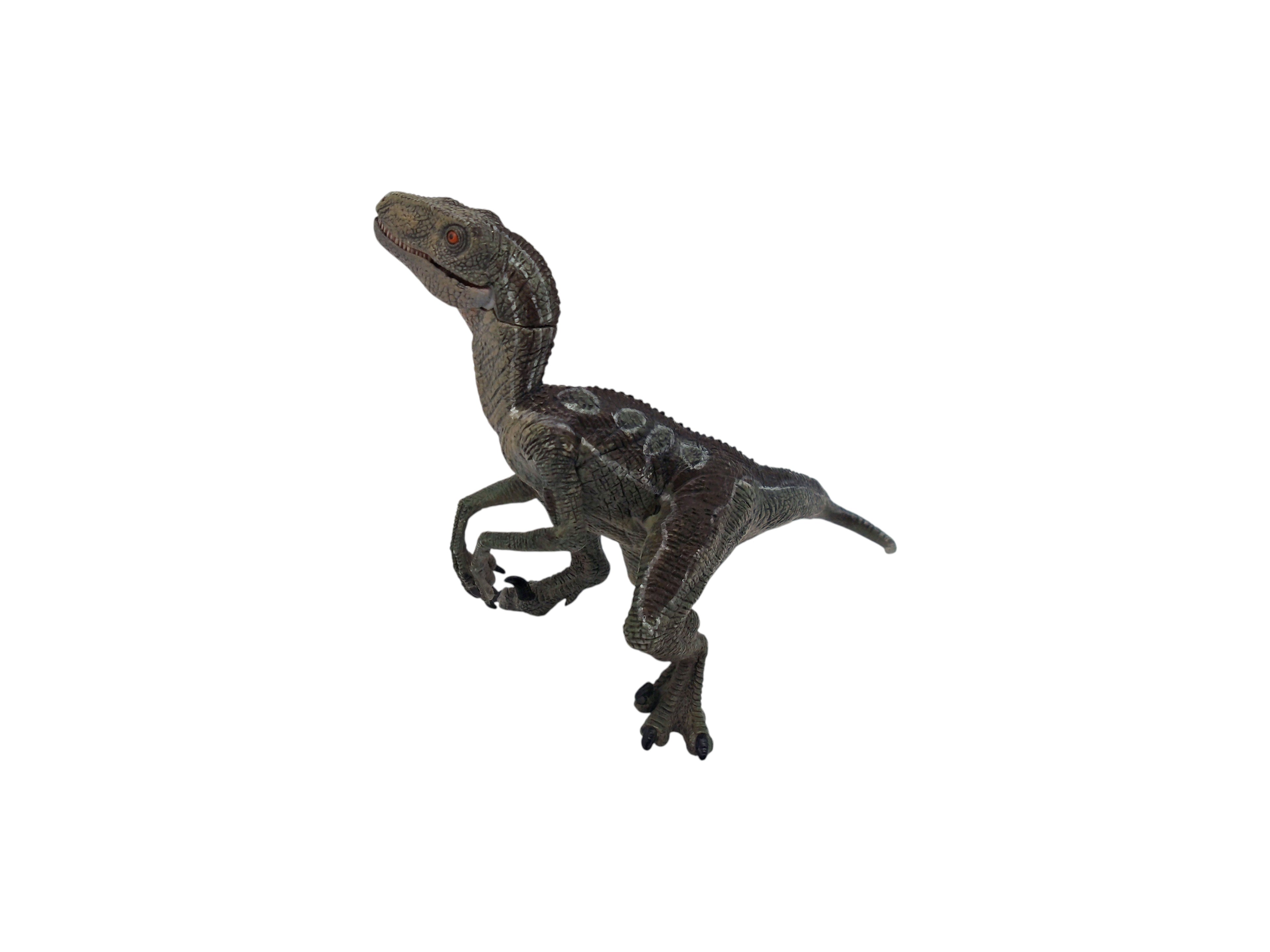 Figurine - Dinosaure Vélociraptor - 55023