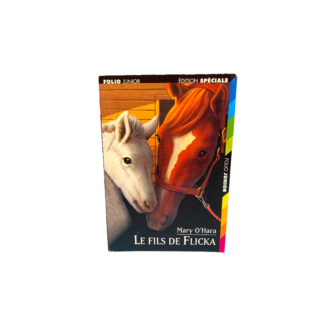 Le fils de Flicka