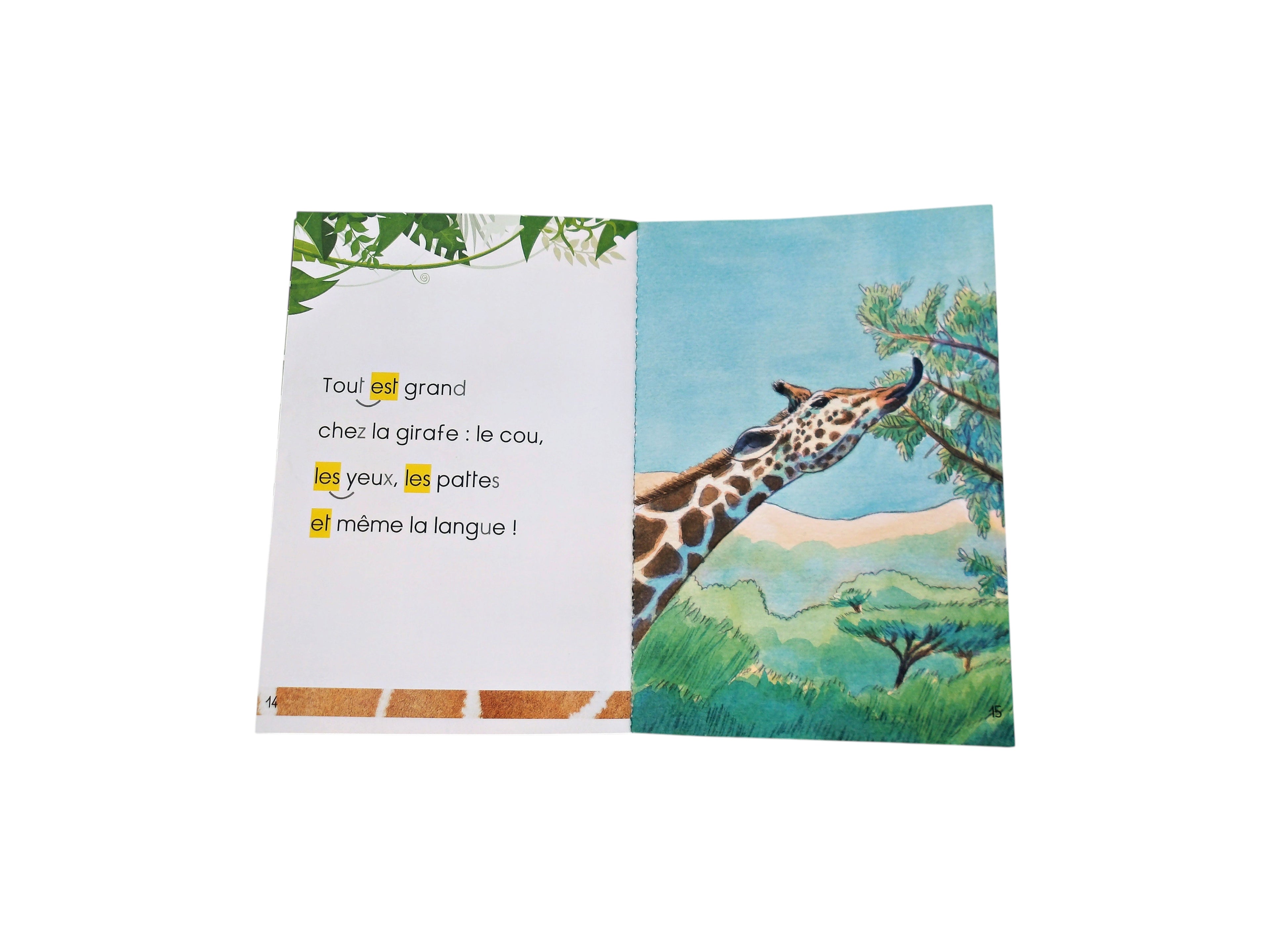 Mes premières lectures - Nyala la girafe