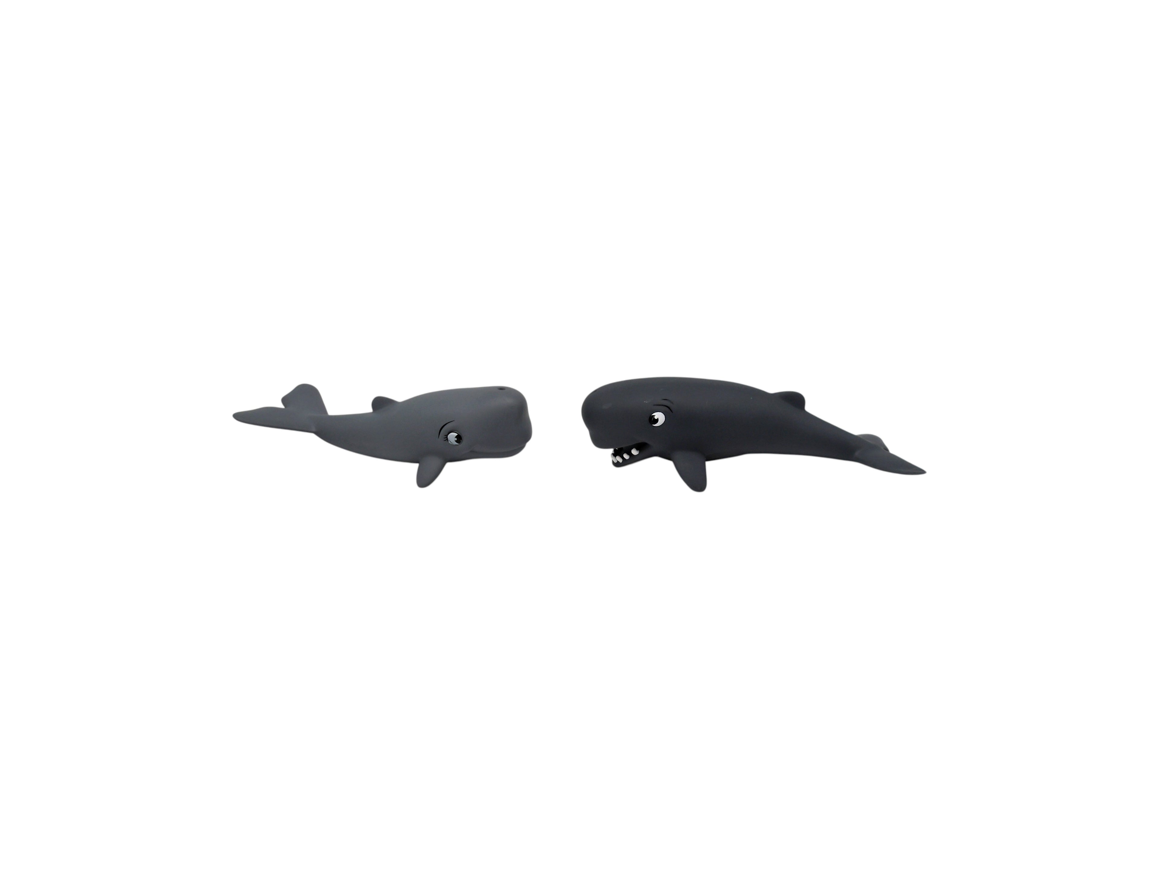 Couple de 2 baleines