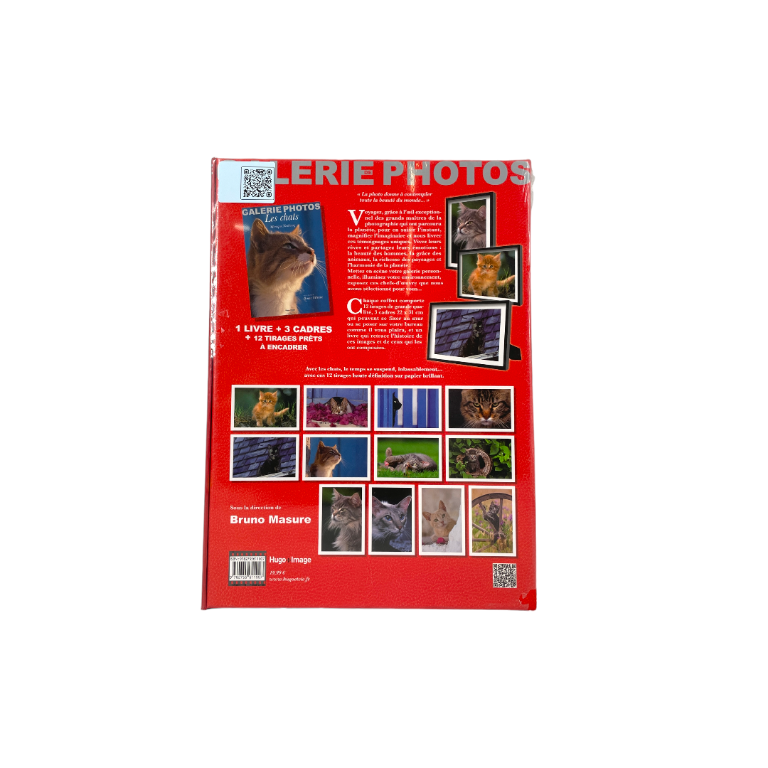 Galerie photos - Les chats