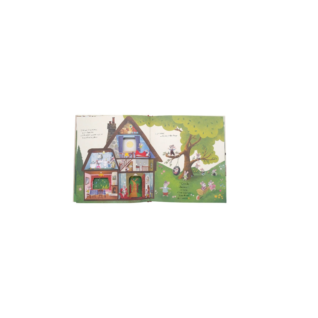 La maison de mes rêves 