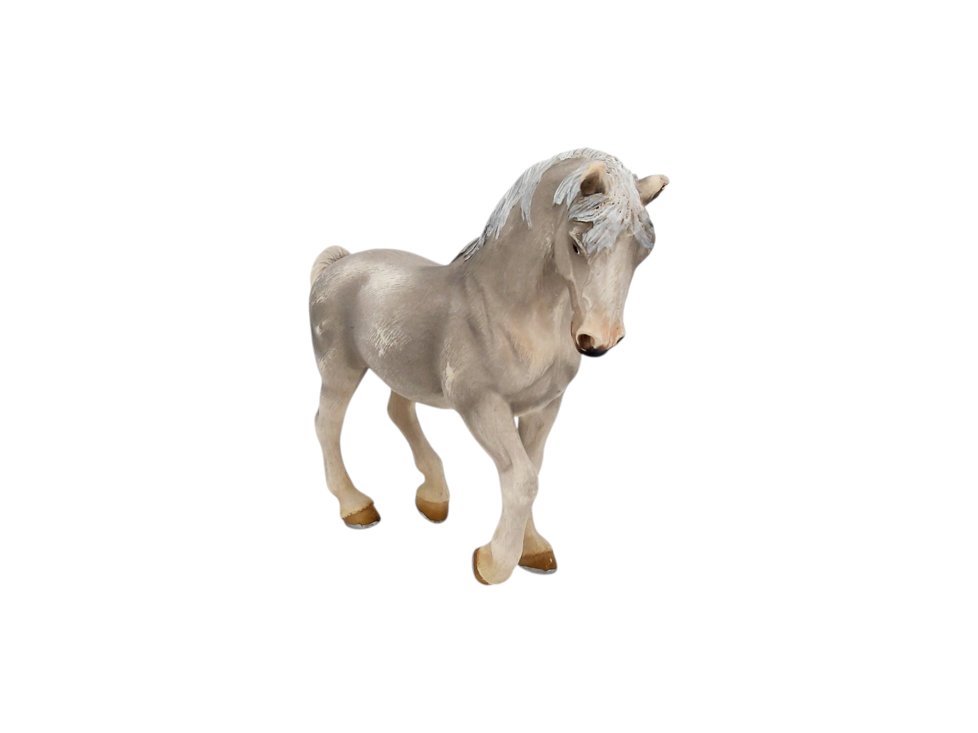 Cheval - Lipizzaner Stallion - 13293