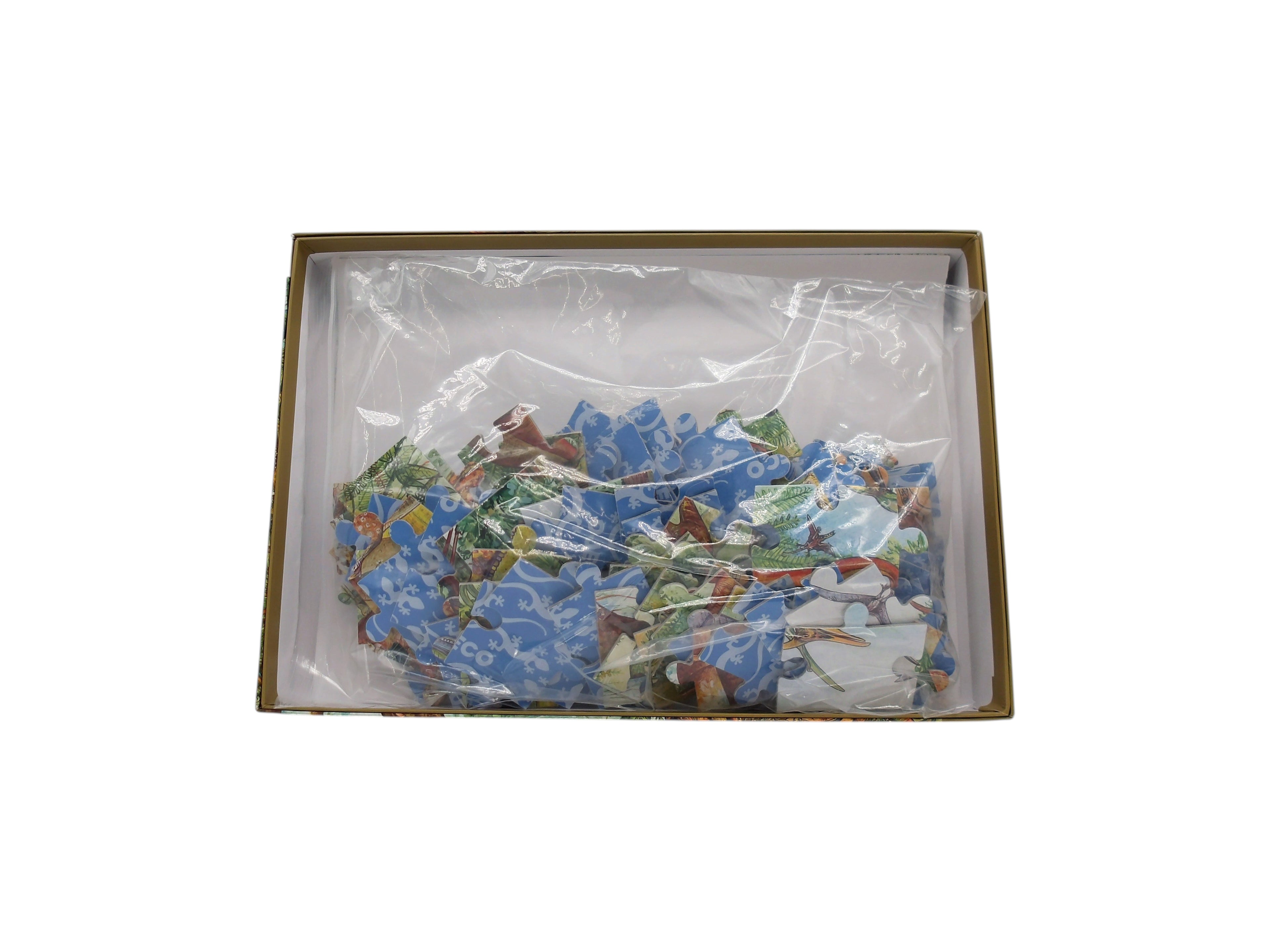 Puzzle observation - Dinosaures - 100 pièces
