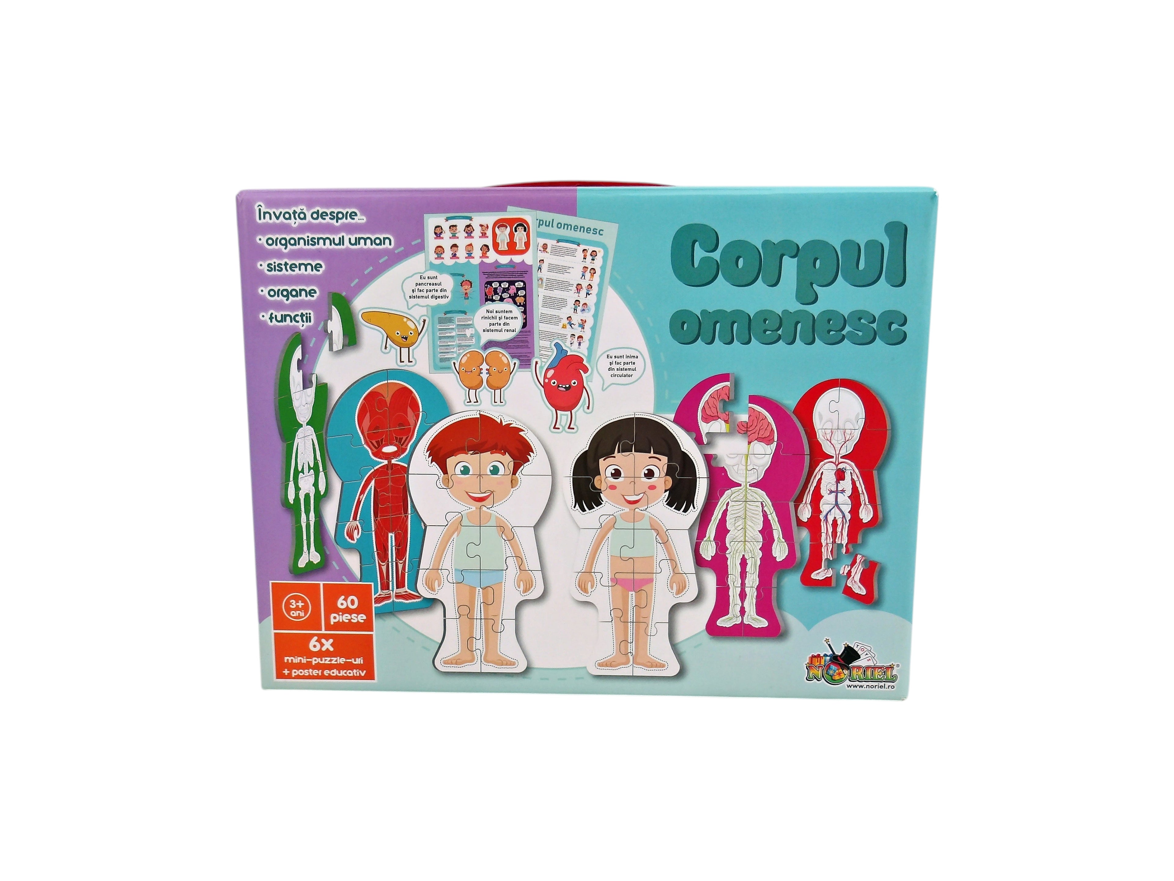 Puzzle - Corps humain