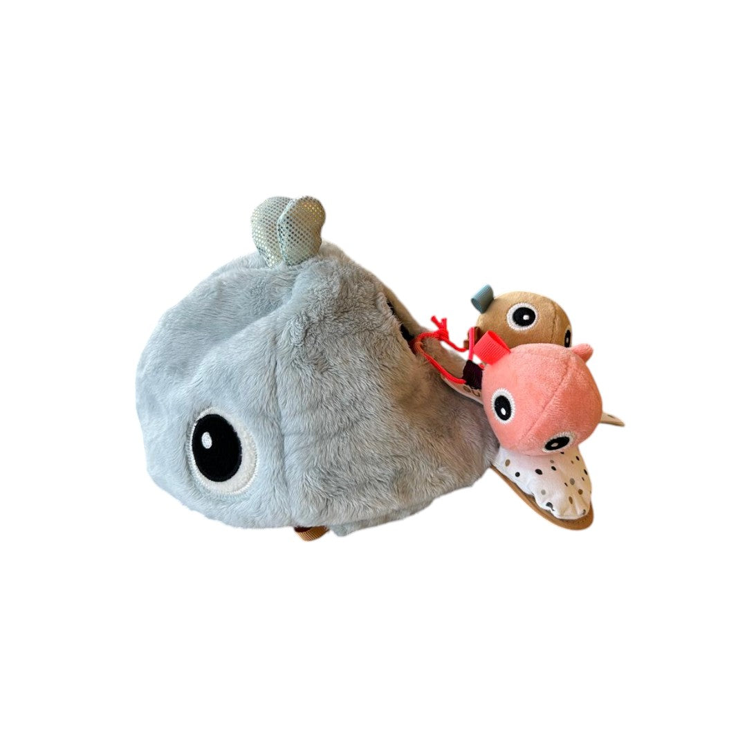 Baleine - Hide&amp;Seek