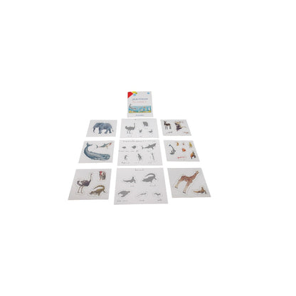 Montessori - Les animaux
