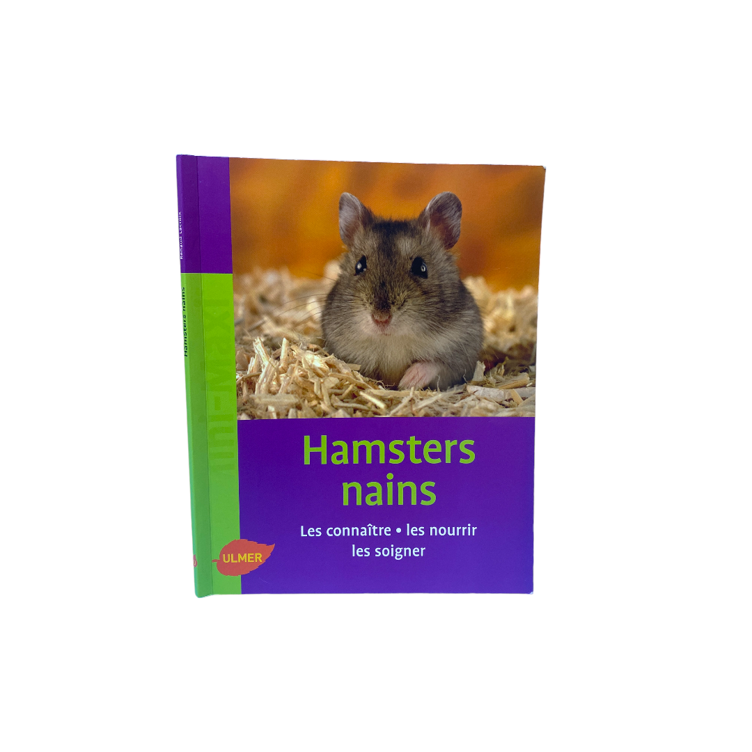 Hamsters nains