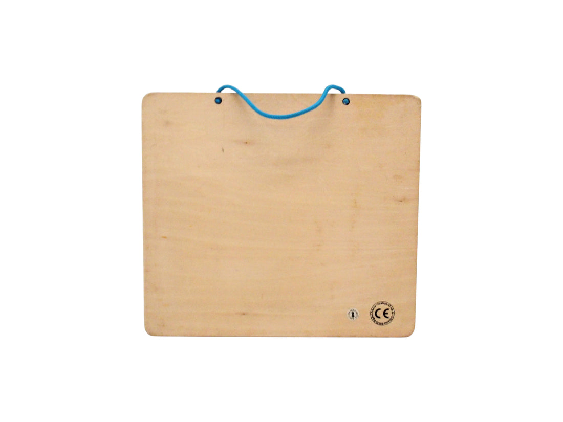 Magneto puzzle - Happy fish