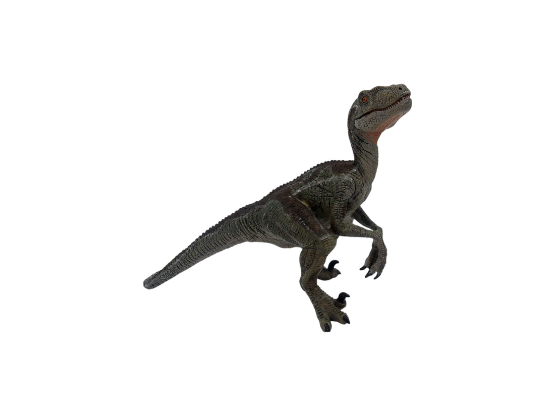 Figurine - Dinosaure  Vélociraptor - 55023