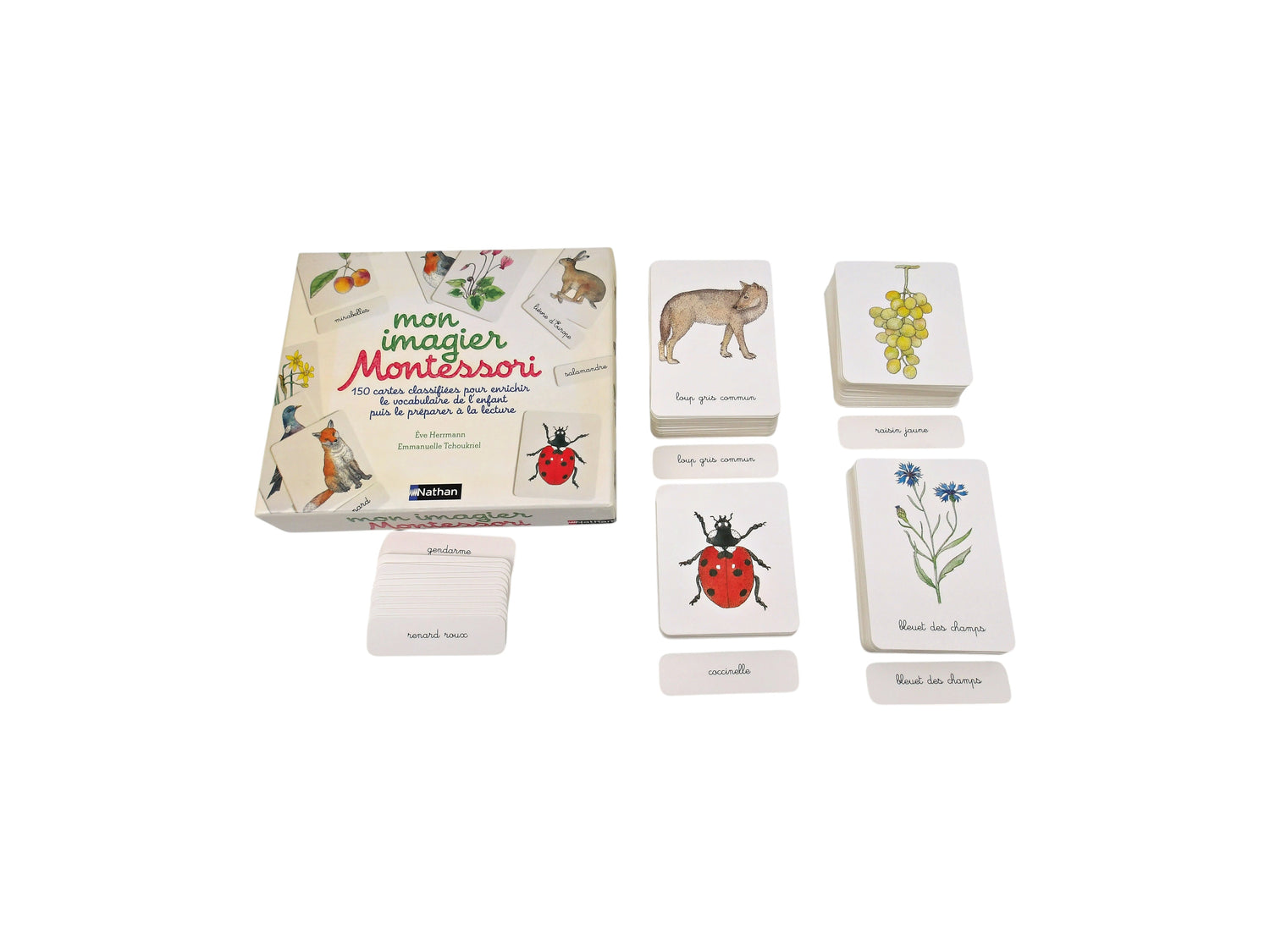 Mon imagier - Montessori - 150 cartes- Édition 2014