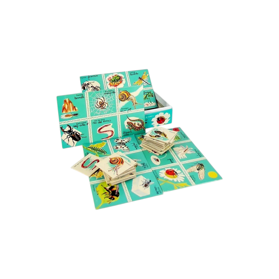 Loto des insectes et des petites bêtes