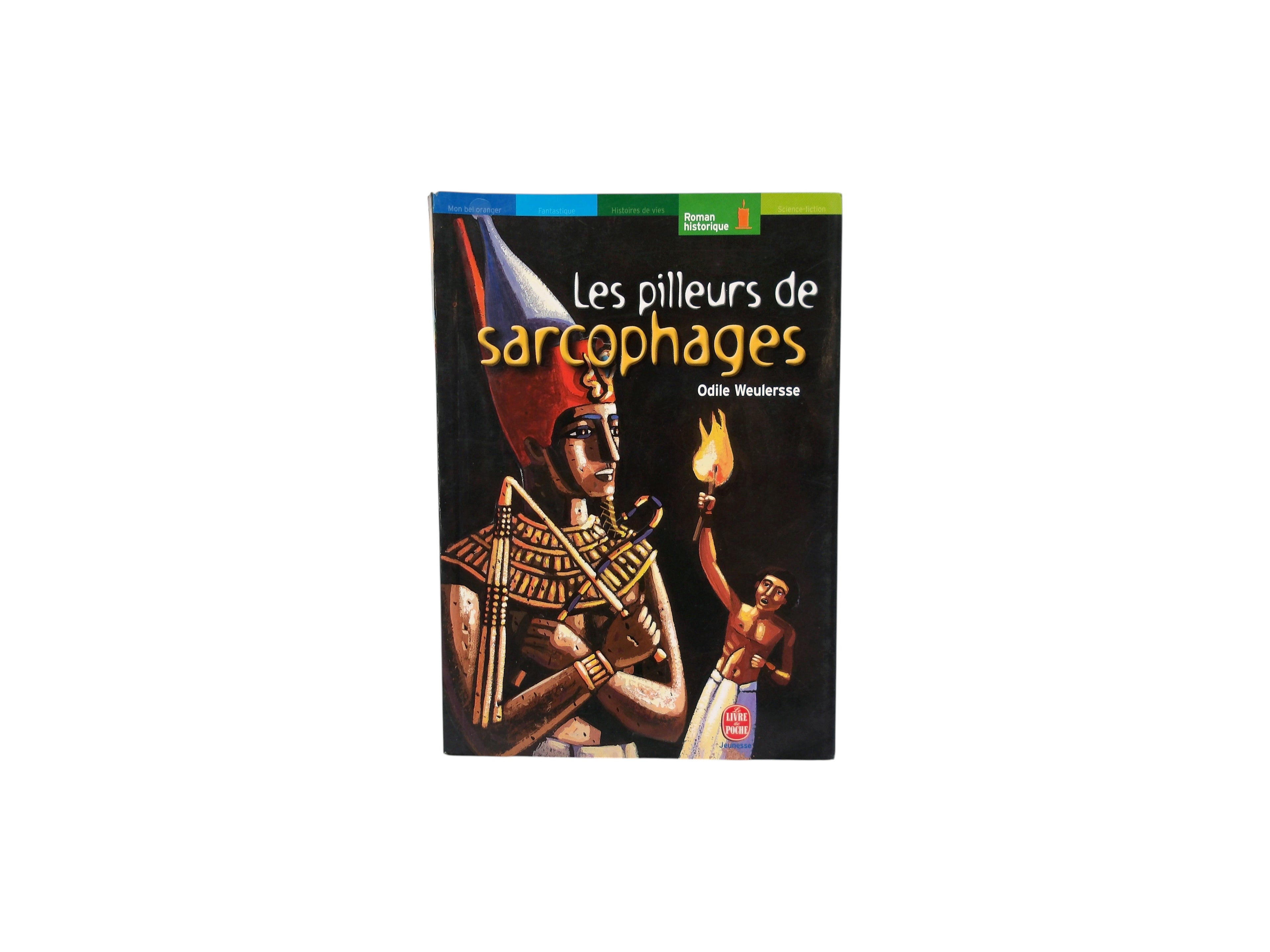 Les pilleurs de sarcophages