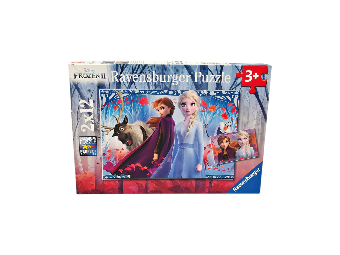 Puzzle Disney - La reine des neiges - 2x12 pièces