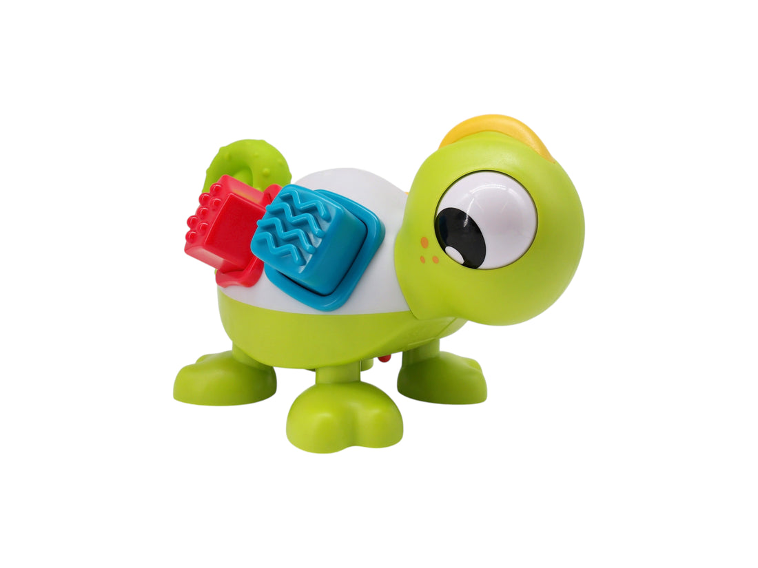 Caméléon à encastrement - Léon le caméléon