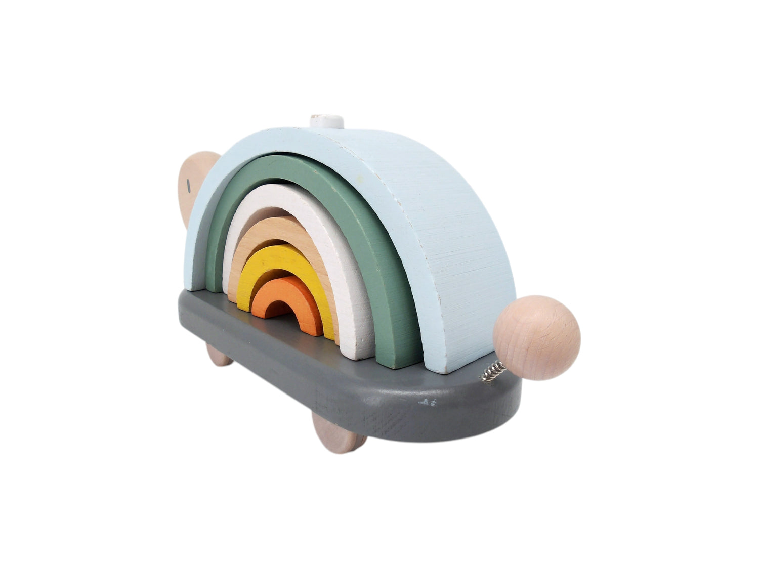 Tortue arc-en-ciel - Sweet Cocoon