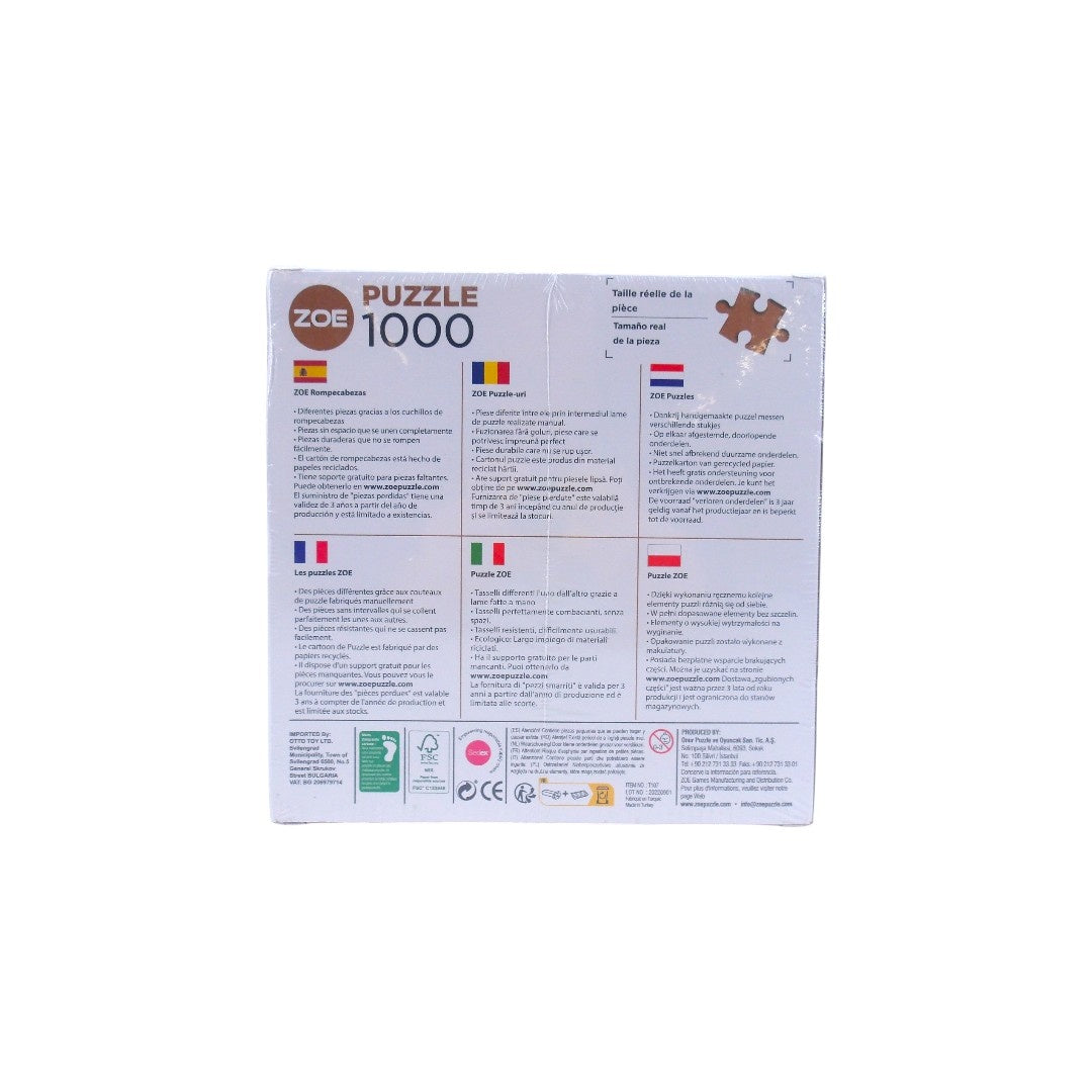 Les puzzles de Zoé - Kandisky - 1000 pièces