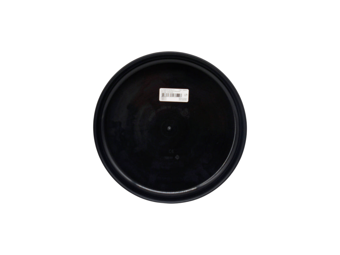 Frisbee