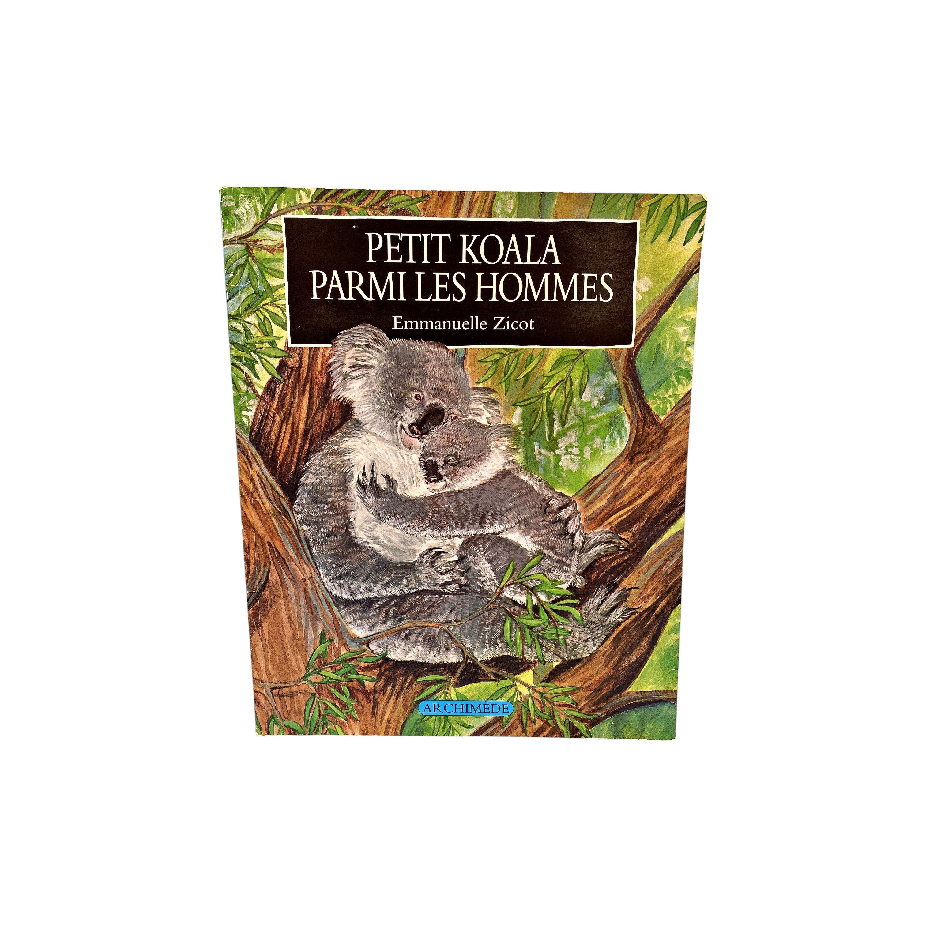 Petit koala parmi les hommes
