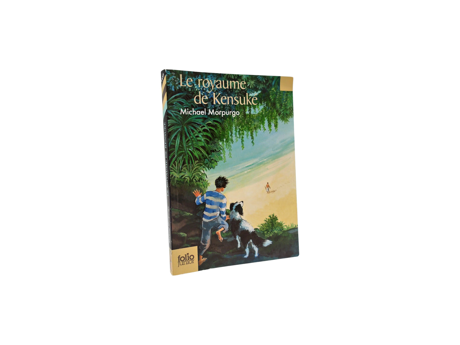Le royaume de Kensuké 