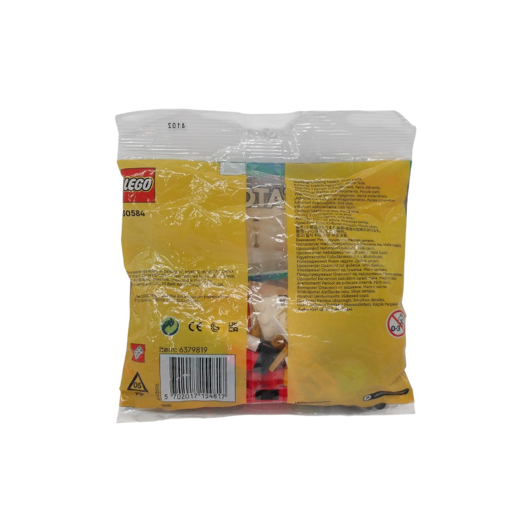 LEGO Creator - Le train des fêtes - Set 30584