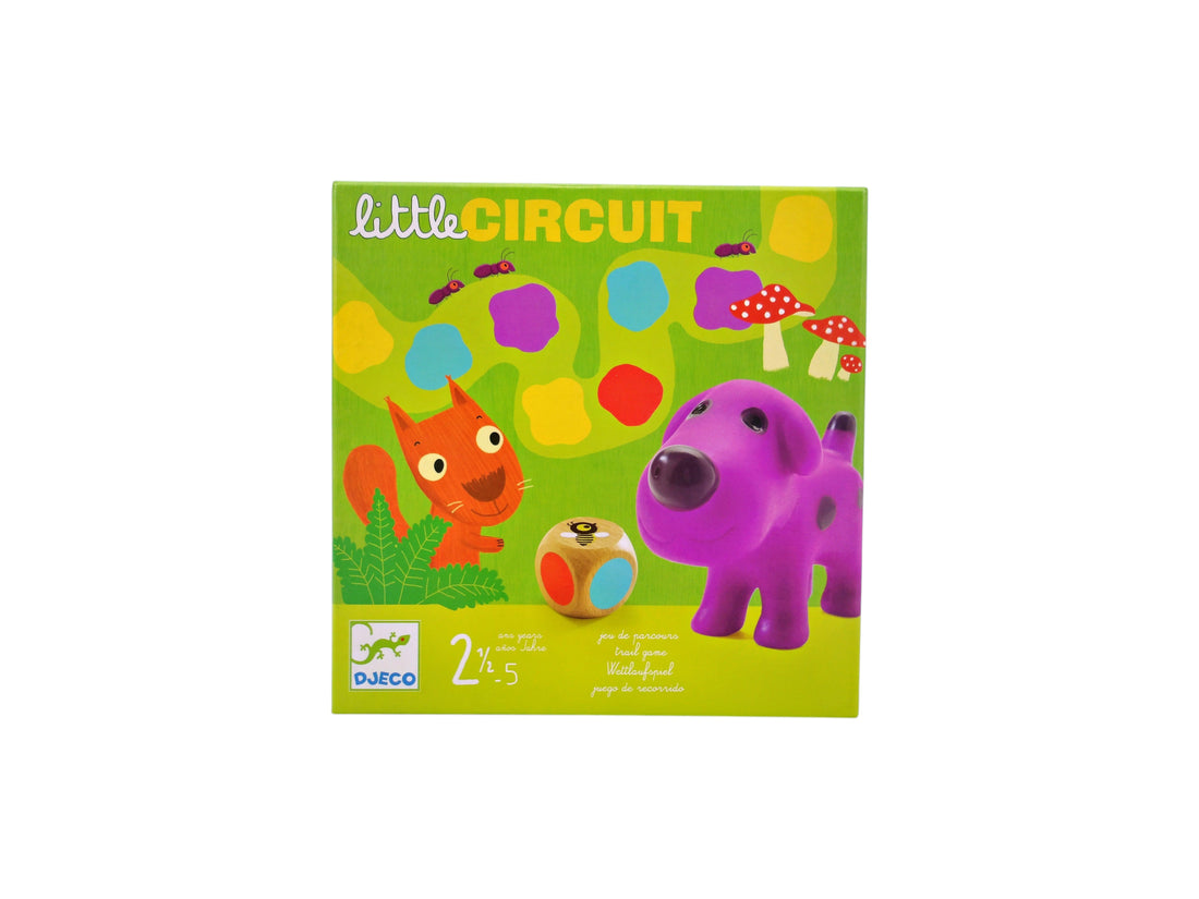 Little Circuit
