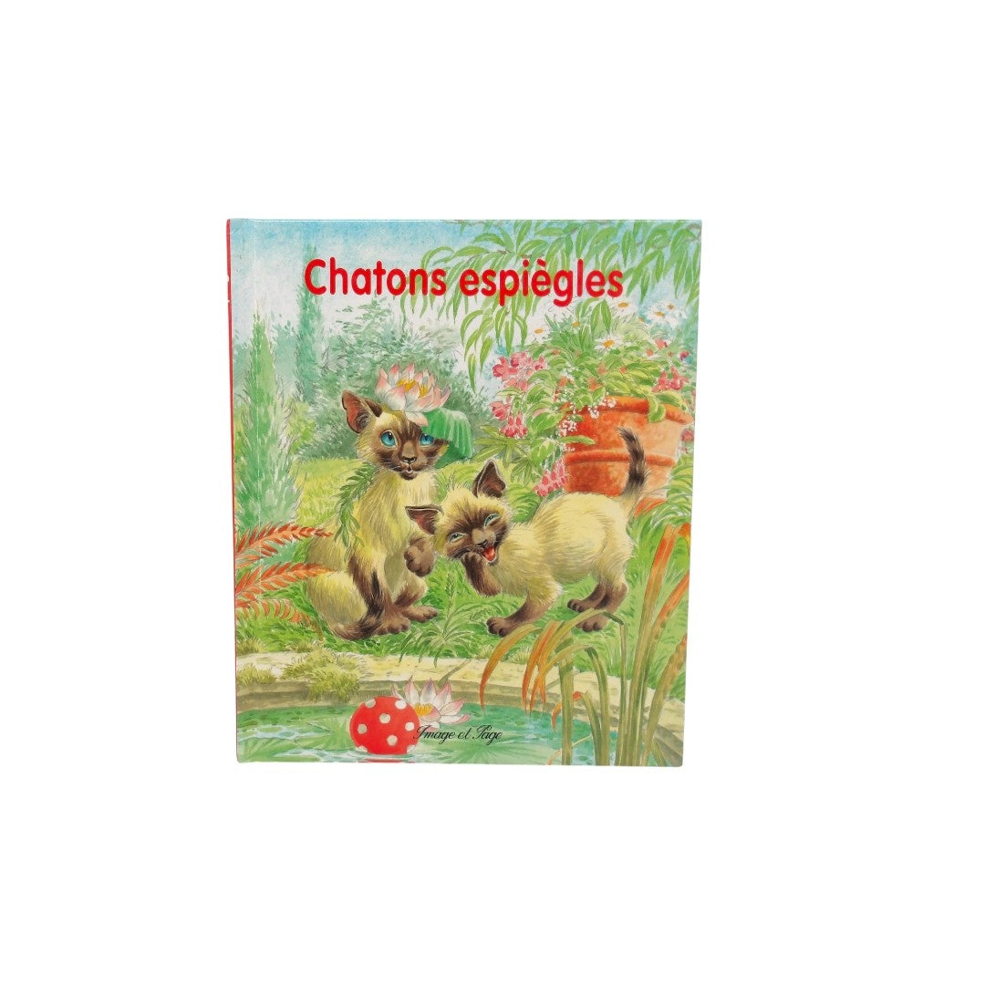   Chatons espiègles 
