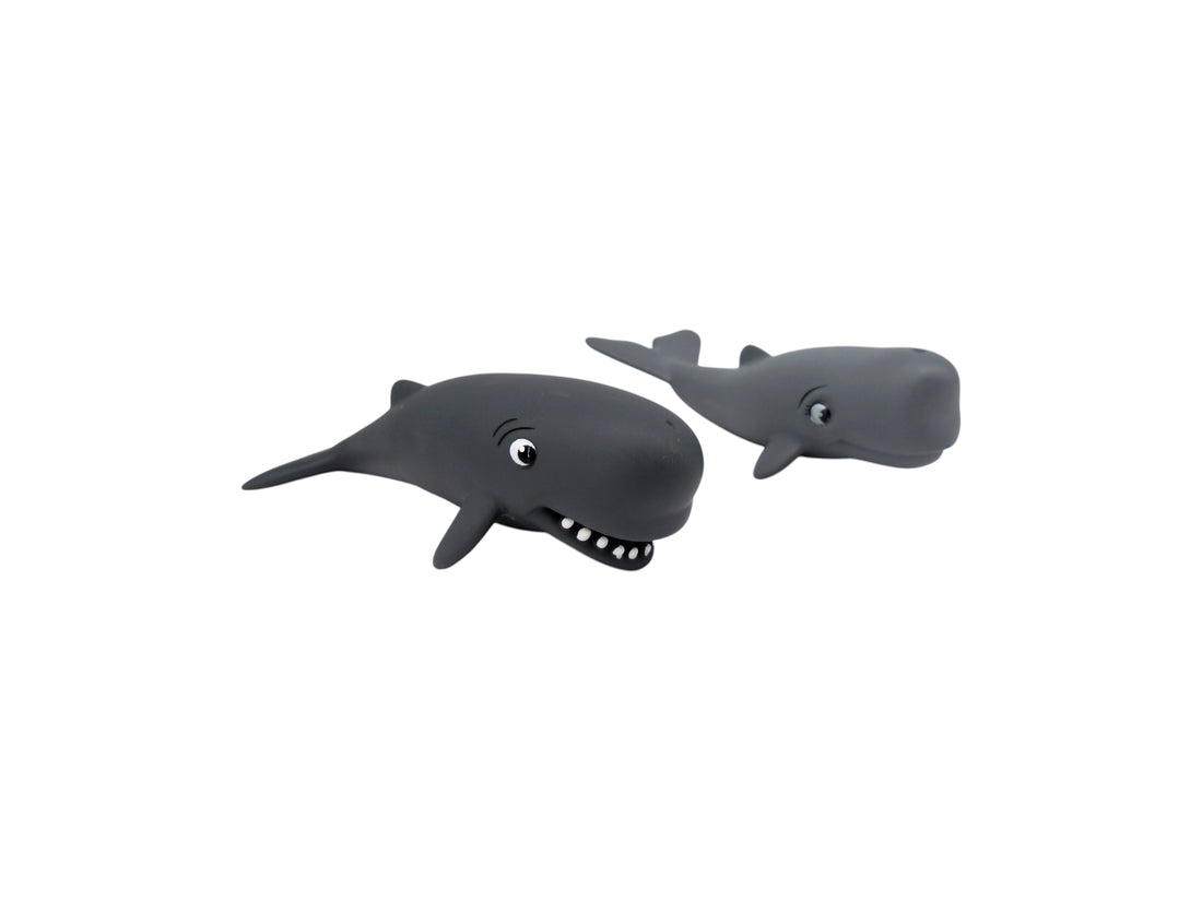 Couple de 2 baleines