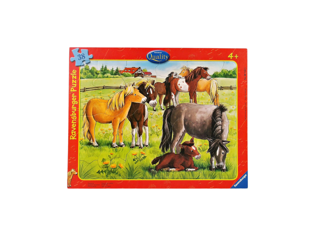  Puzzle cadre - Chevaux - 38 pièces