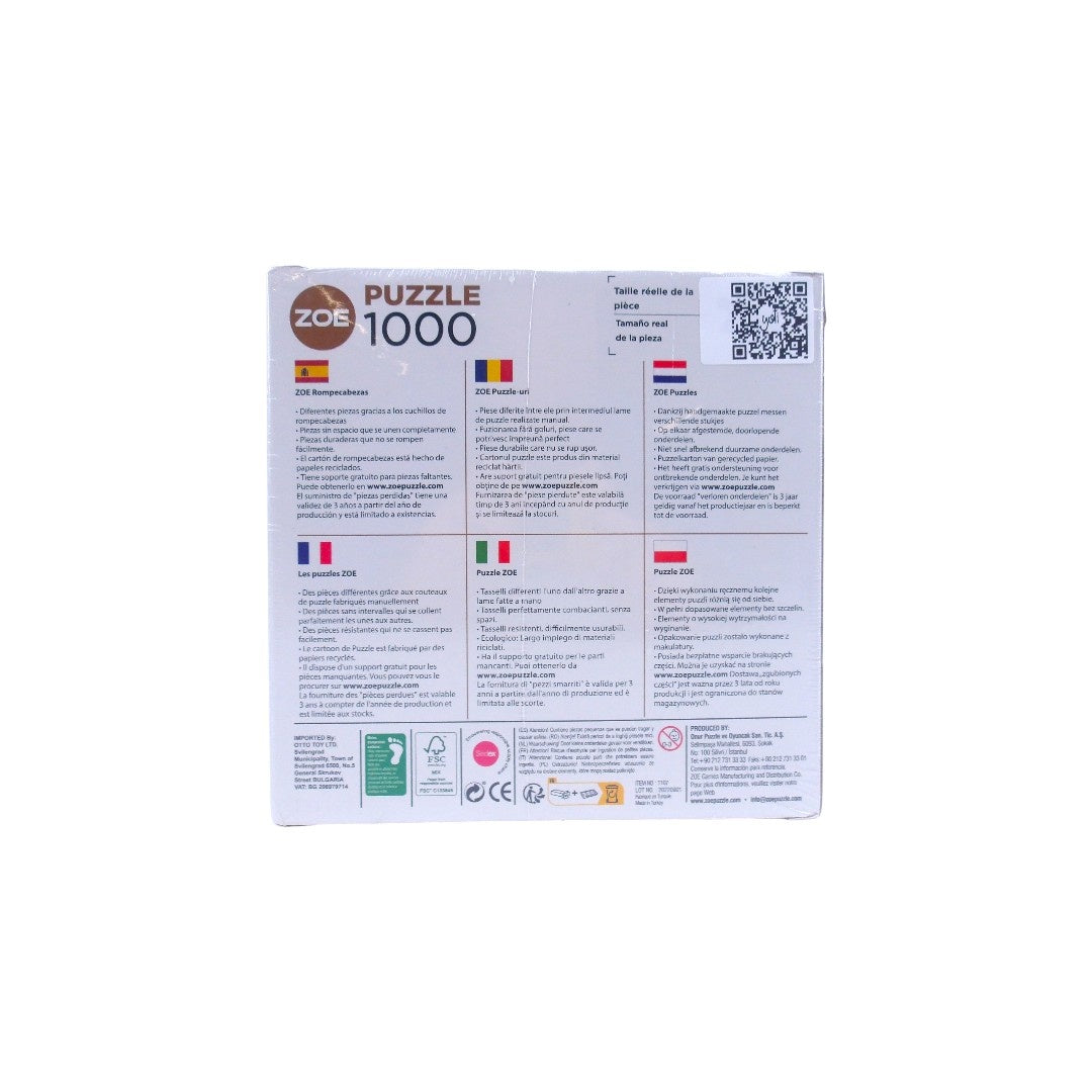 Les puzzles de Zoé - Kandisky - 1000 pièces
