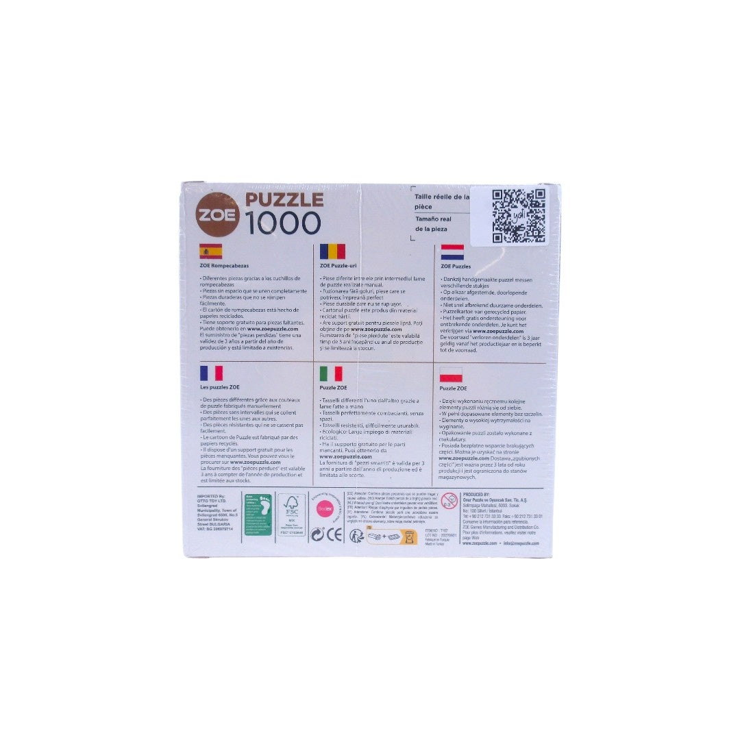 Les puzzles de Zoé - Kandisky - 1000 pièces