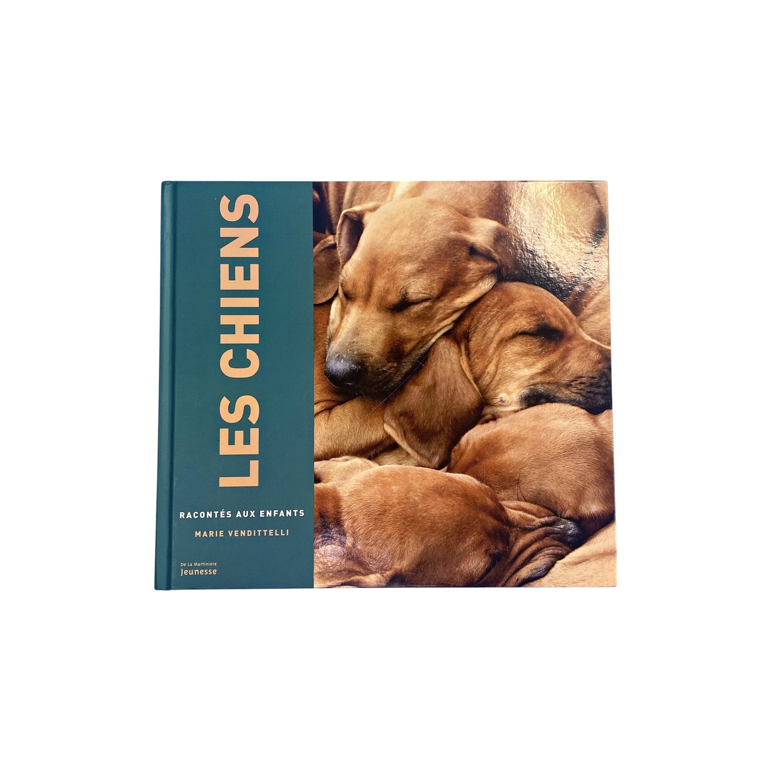 Les chiens racontés aux enfants