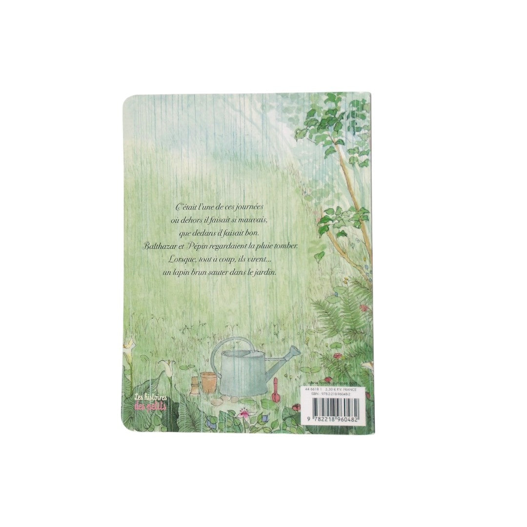 Le livre à compter de Balthazar - A la Poursuite du lapin brun 