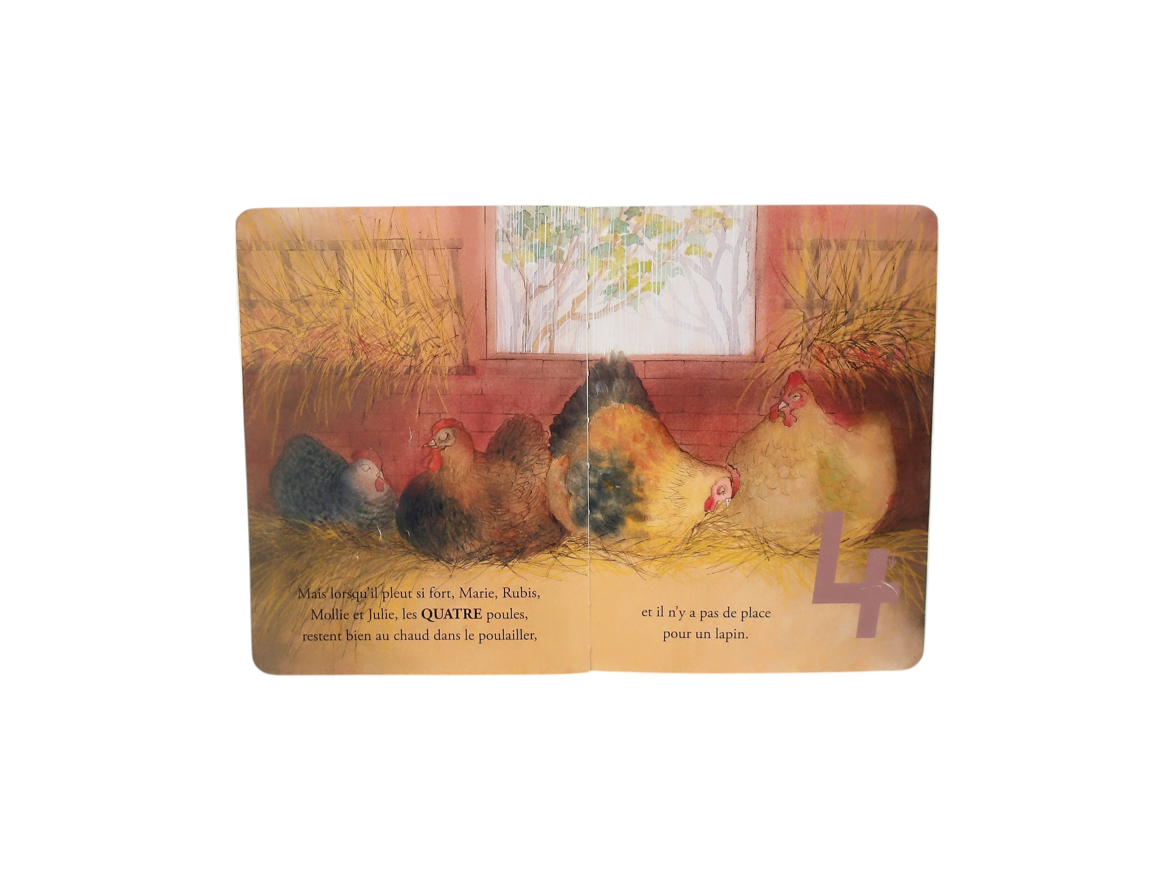 Le livre à compter de Balthazar - A la Poursuite du lapin brun 