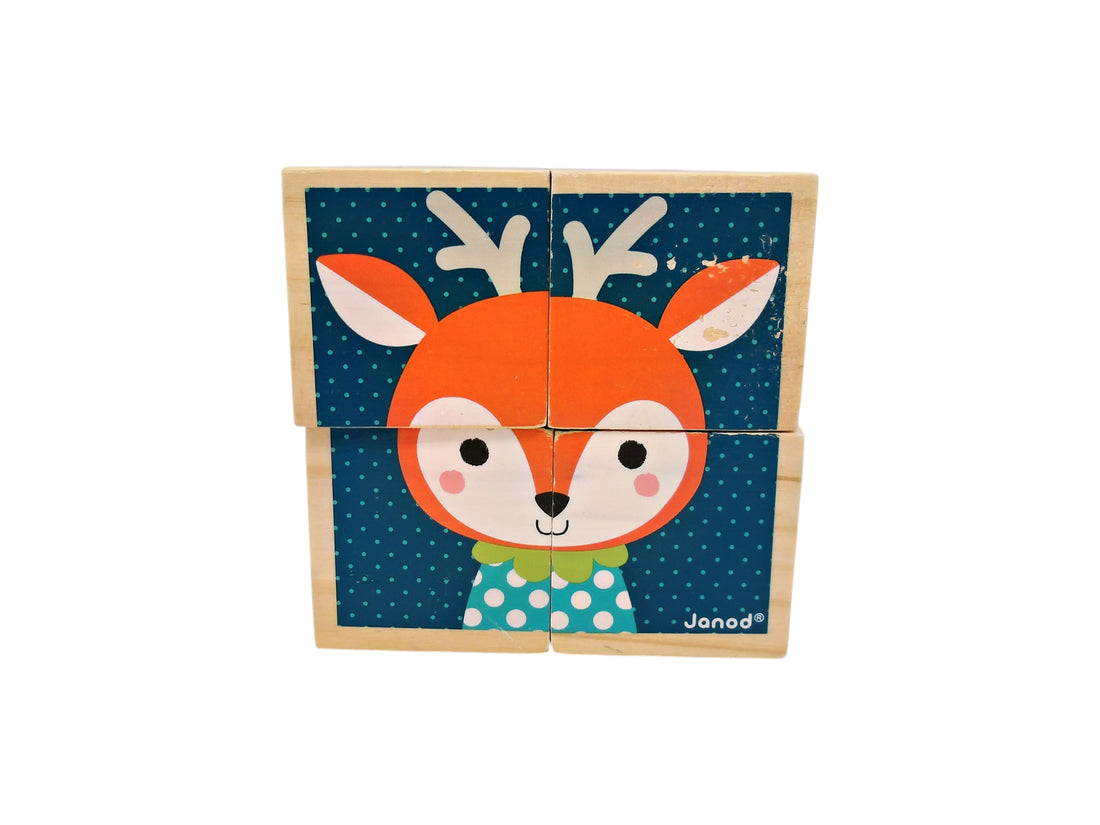 Mes premiers cubes - Portraits de la forêt 