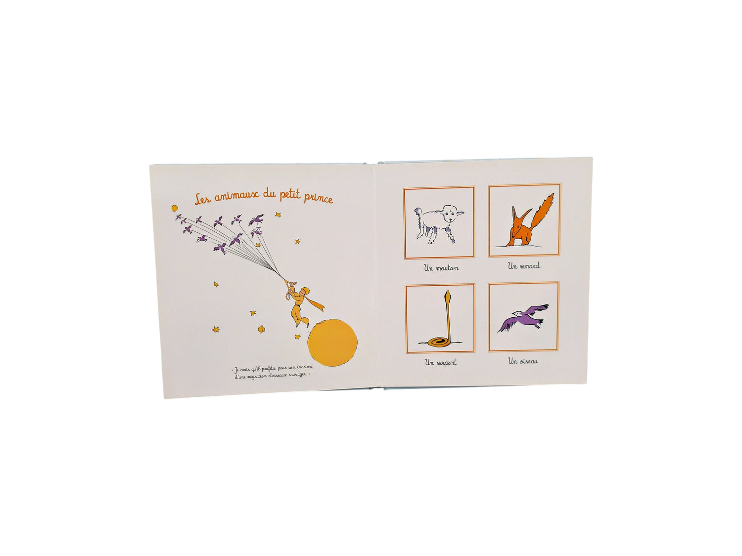 Le Petit Prince pour les bébés - L&