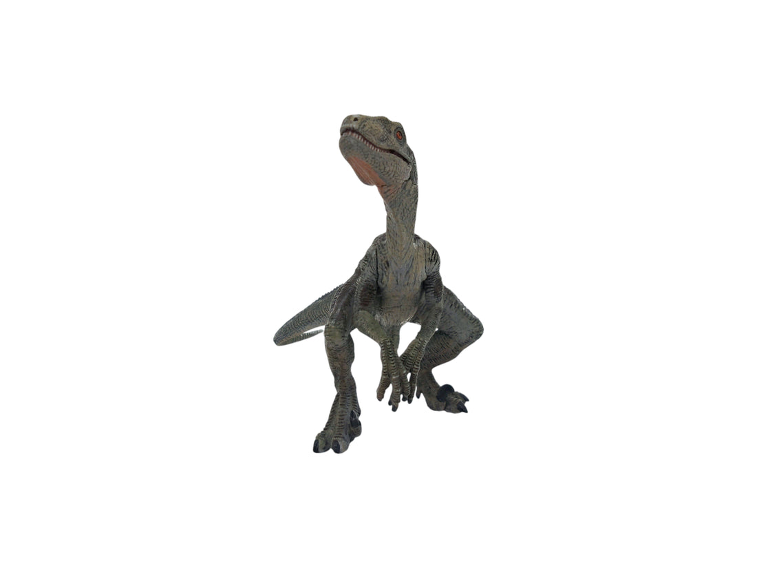 Figurine - Dinosaure  Vélociraptor - 55023