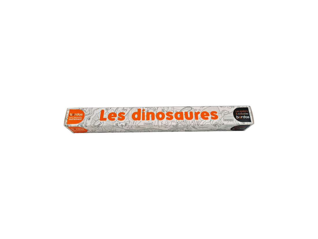 Les posters à colorier - Les dinosaures